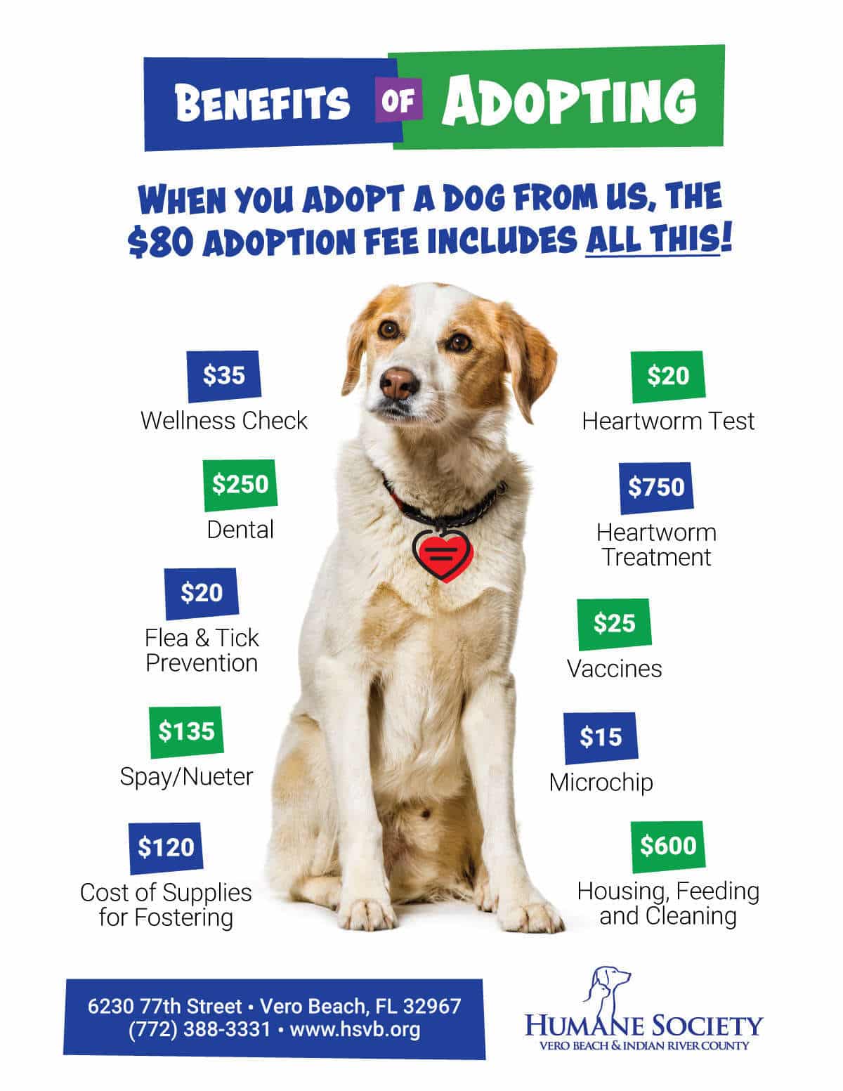 Adopt a Pet - Humane Society of Vero Beach & Indian River County
