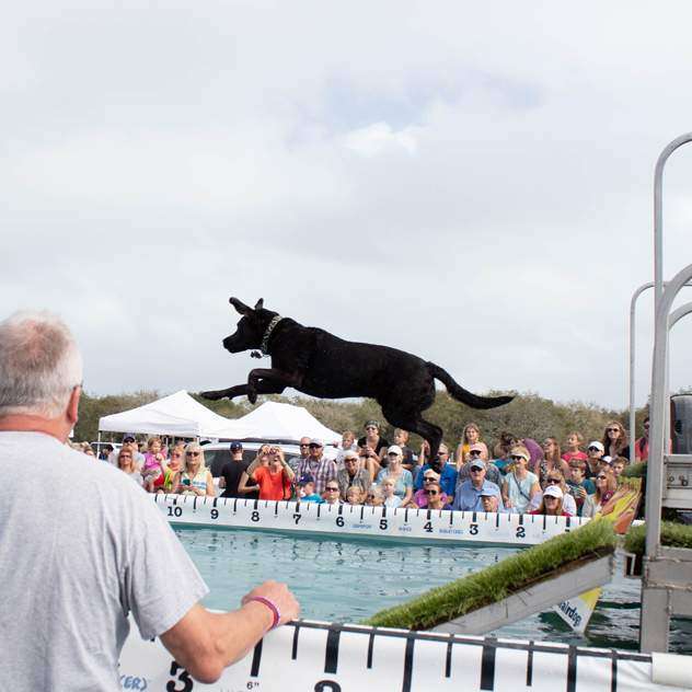 Bark in the Park – Main Street Winter Haven